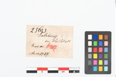 Etikett zu Schleifstein (NHMW-PRAE-025603)